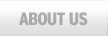 view the about us page